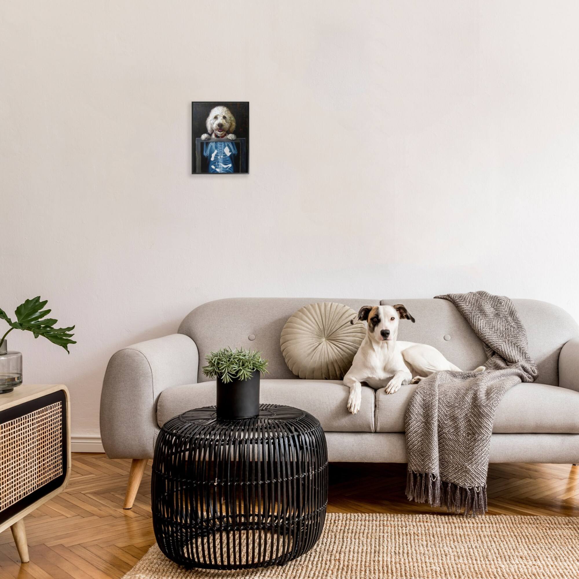 Stupell Industries Funny Dog X-Ray Snacks Framed Giclee Art